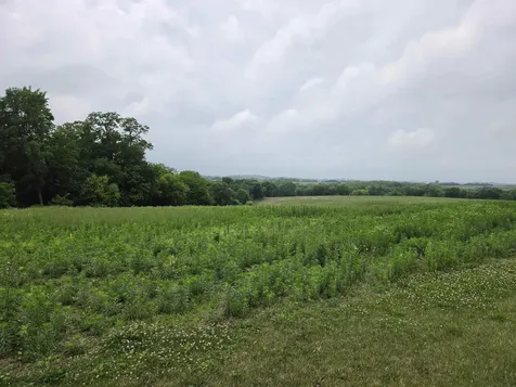 320 Acre Street Guttenberg IA 52052