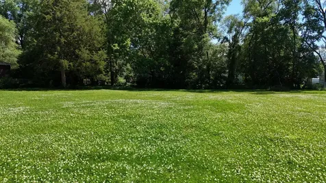 Lot 5 Webster Street Waterloo IA 50703