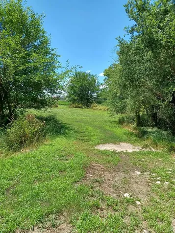 Grand Street Gladbrook IA 50635