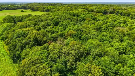 235TH St Parcel Letts IA 52754