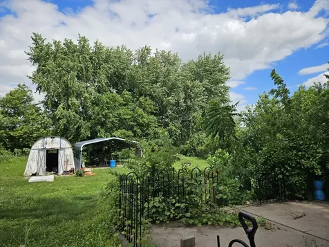 314 Vine Street Wilton IA 52778