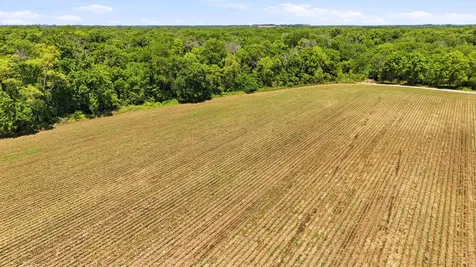 123.69 Acres Mol Moscow Road Moscow IA 52761