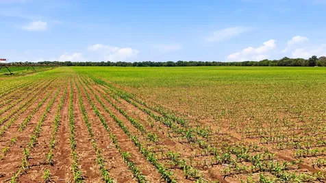 123.69 Acres Mol Moscow Road Moscow IA 52761