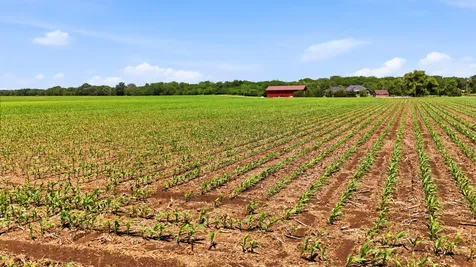 123.69 Acres Mol Moscow Road Moscow IA 52761