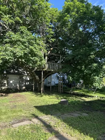 207 Jayne Street Lone Tree IA 52755