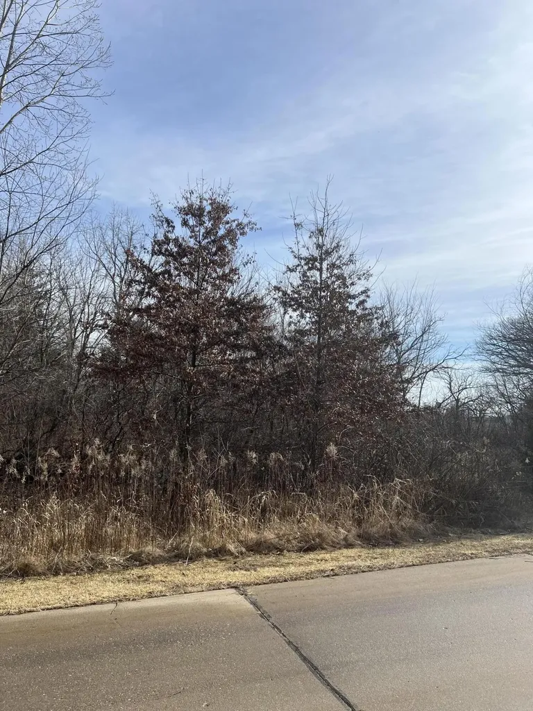 2480 Cattail Ridge Muscatine IA 52761
