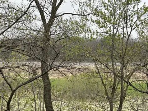 16889/16843 County Road G40 Columbus Junction IA 52738