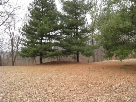 2264 Ridgeview Drive Muscatine IA 52761
