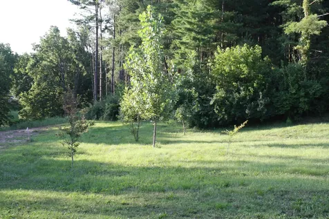 Lot 4 Pine Ridge Muscatine IA 52761