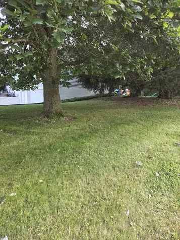 518 Acre Guttenberg IA 52052