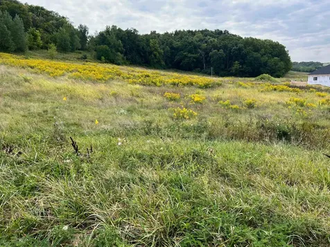 8693 Silver Oaks Dubuque IA 52003