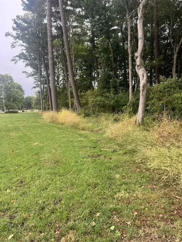 Lot 1 Maurer Addn 3rd Delhi IA 52223