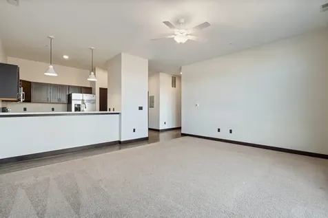 120 Twin Steeples Circle NE #215 Dyersville IA 52040