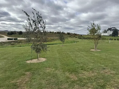 340 Blue Heron Guttenberg IA 52052