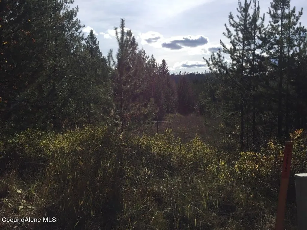 Nka Roberts Lane Blanchard ID 83804