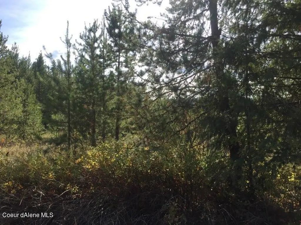 Nka Roberts Lane Blanchard ID 83804