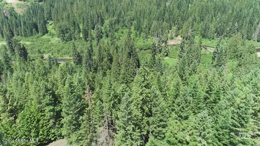 Nka Lolo Creek Road, Lot 2 Kooskia ID 83539
