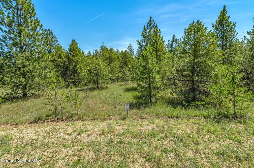 Lot 9 Dawson Lp Athol ID 83801