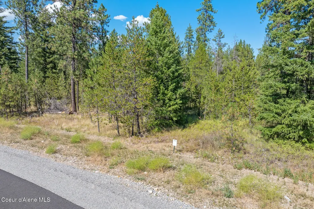Lot 3 Dawson Lp Athol ID 83801