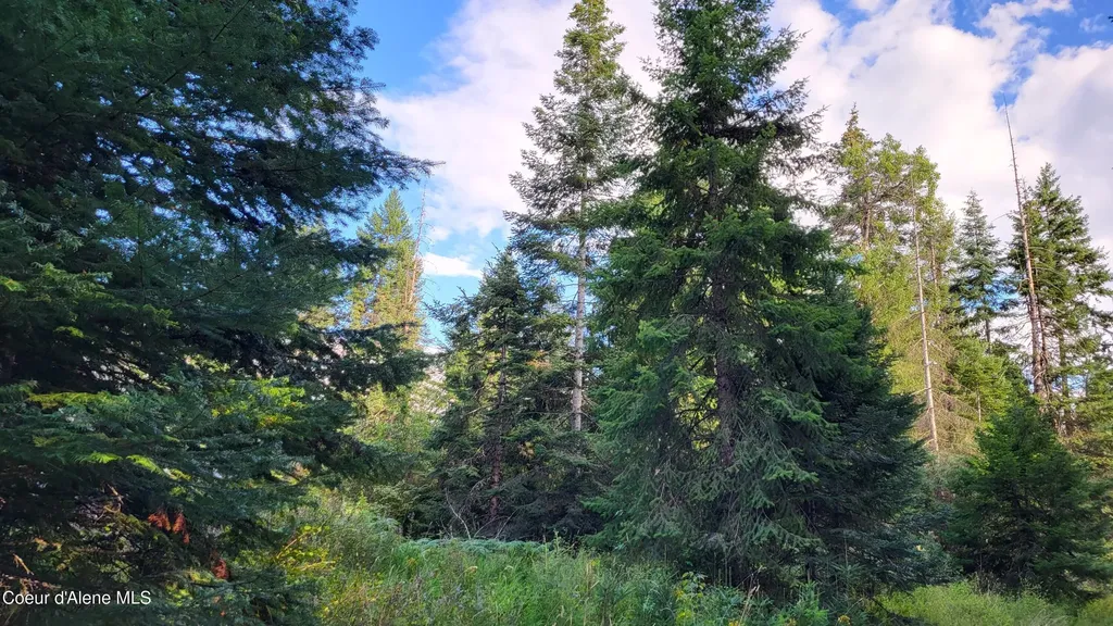 Nna E Badger Road Harrison ID 83833