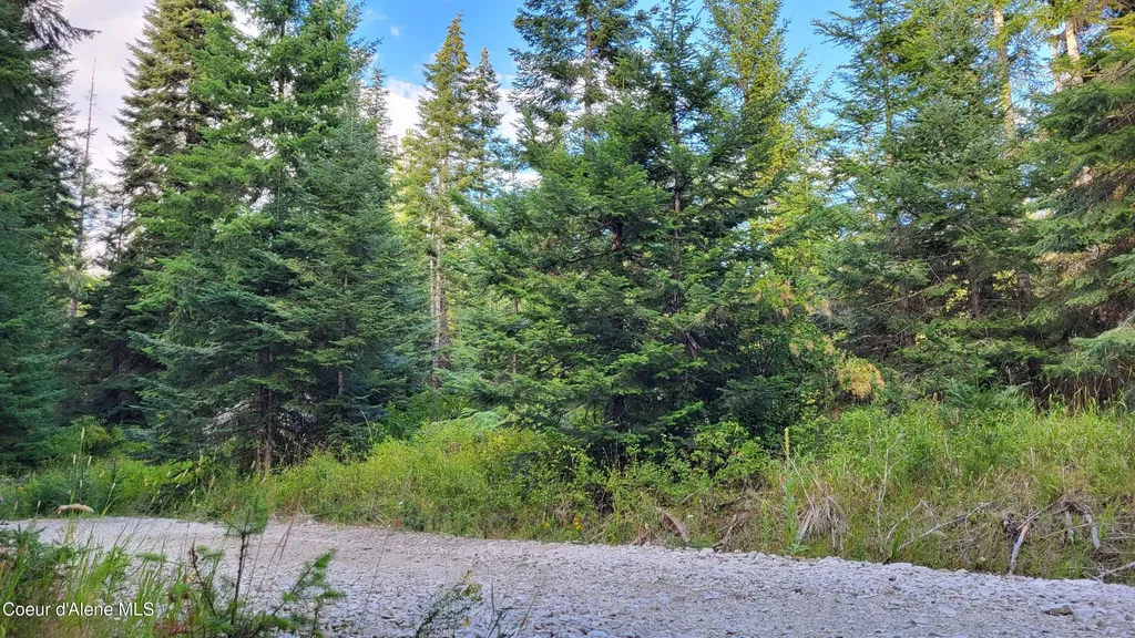 Nna E Badger Road Harrison ID 83833