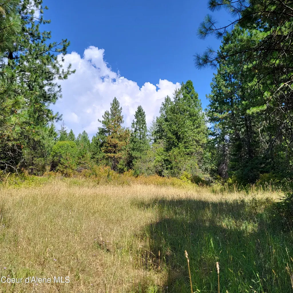 Nna E Badger Road Harrison ID 83833