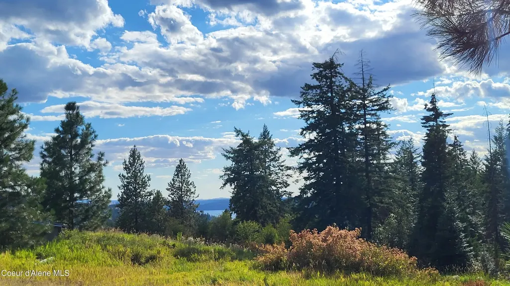 Nna E Badger Road Harrison ID 83833