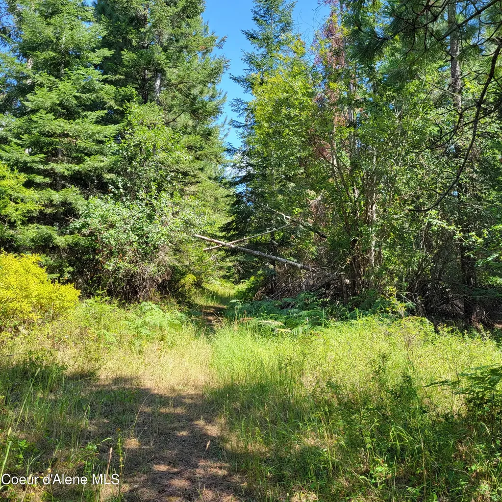 Nna E Badger Road Harrison ID 83833