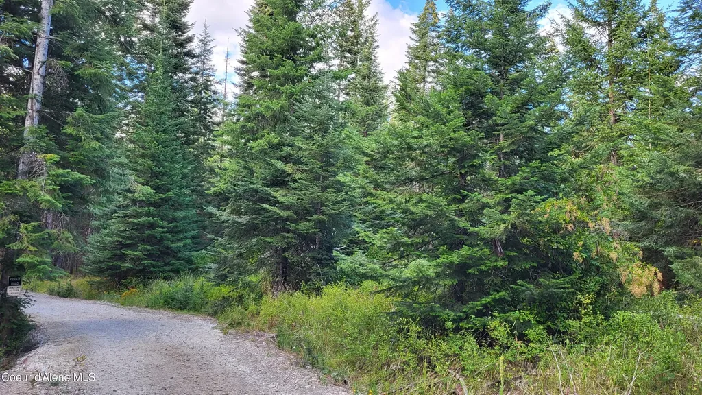 Nna E Badger Road Harrison ID 83833