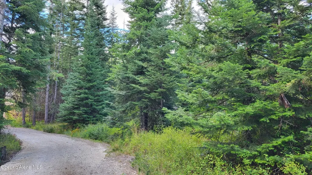Nna E Badger Road Harrison ID 83833