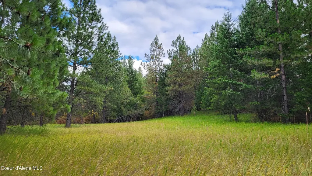 Nna E Badger Road Harrison ID 83833