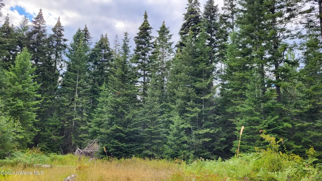 Nna E Badger Road Harrison ID 83833
