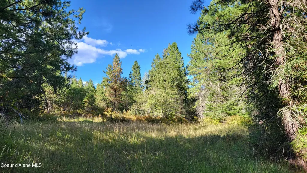 Nna E Badger Road Harrison ID 83833