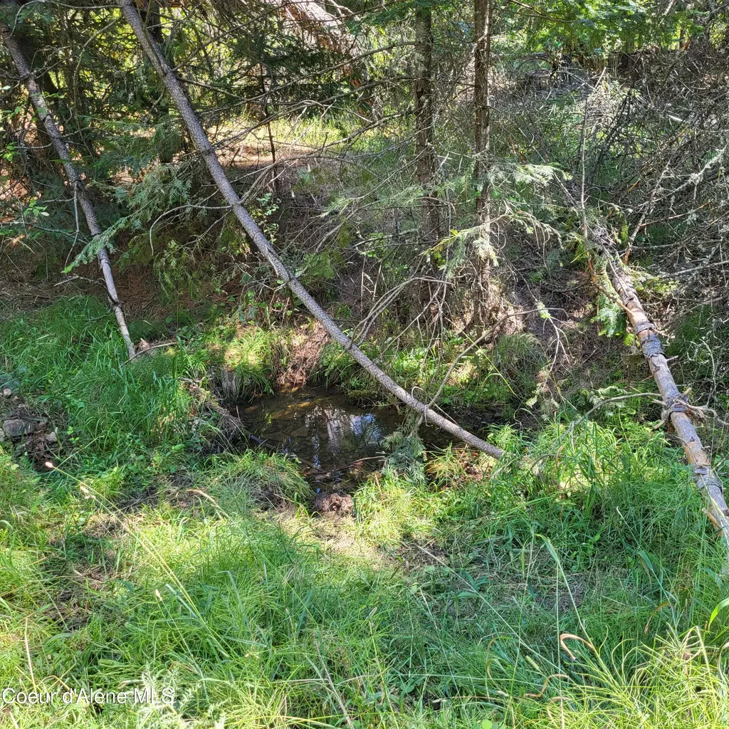 Nna E Badger Road Harrison ID 83833