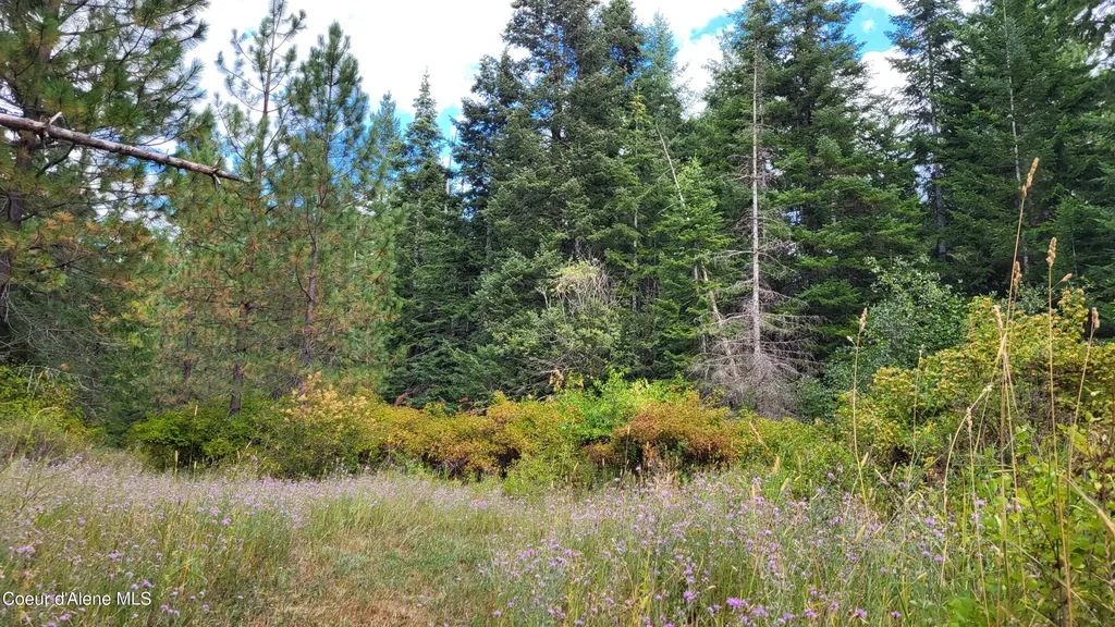 Nna E Badger Road Harrison ID 83833