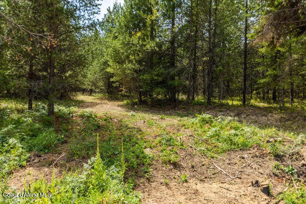 197 Schneiders Road Sagle ID 83860