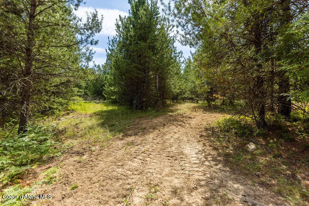 197 Schneiders Road Sagle ID 83860