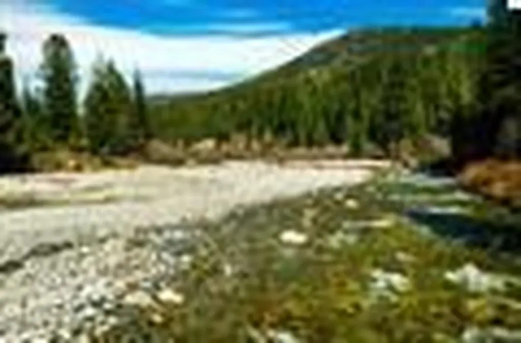 Nka Upper Pack River Road Sandpoint ID 83864