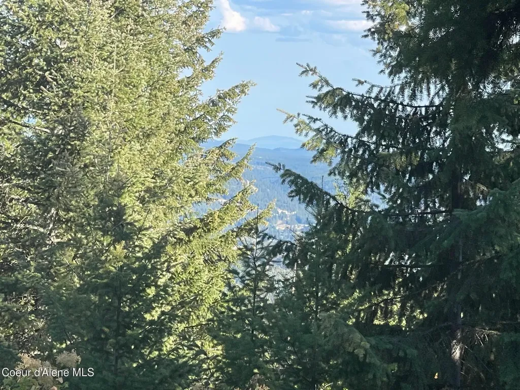 Nka Ridgeview Drive W2 St. Maries ID 83861