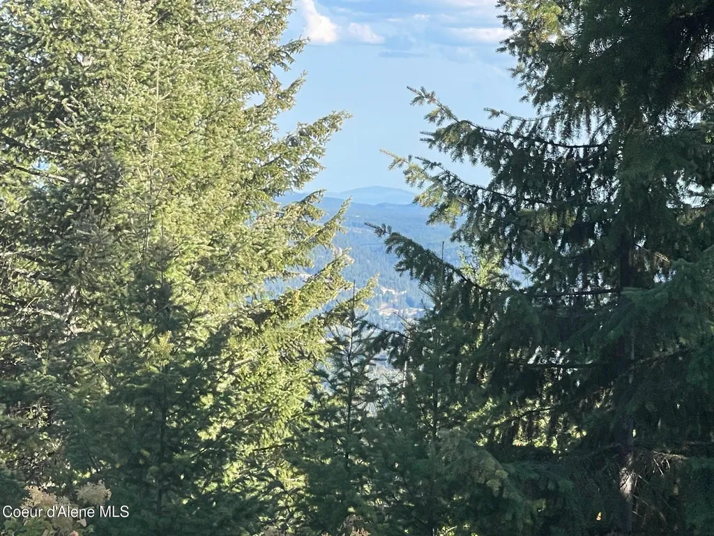 Nka Ridgeview Drive W2 St. Maries ID 83861