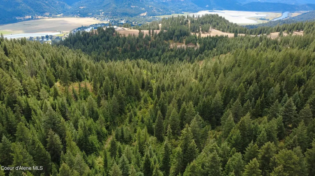 Nka Ridgeview Drive W2 St. Maries ID 83861
