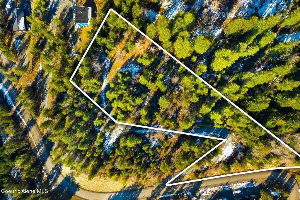 Lot 1 Olympic Drive Sandpoint ID 83864