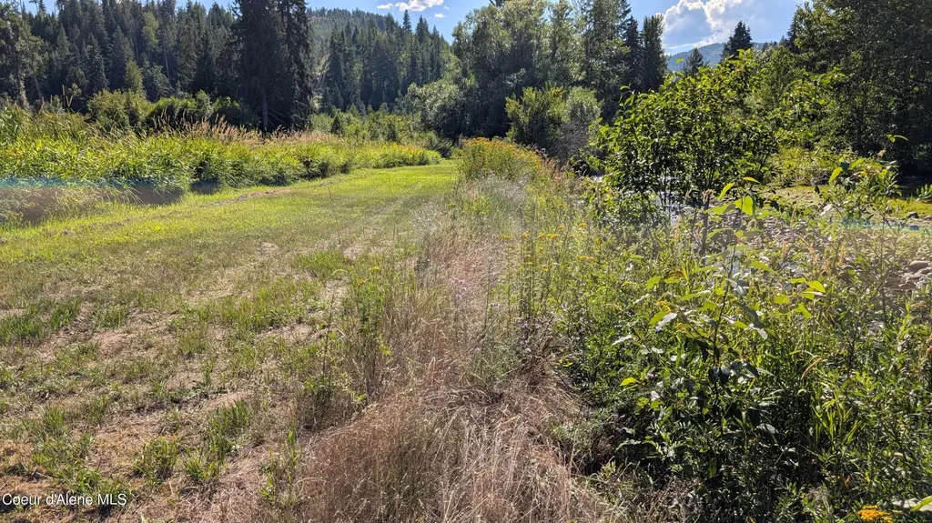 Tract 2 Deep Creak Loop Road Bonners Ferry ID 83805