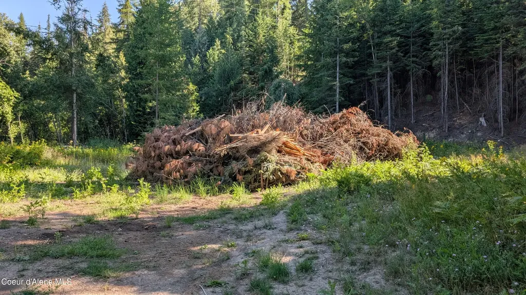 Tract 2 Deep Creak Loop Road Bonners Ferry ID 83805