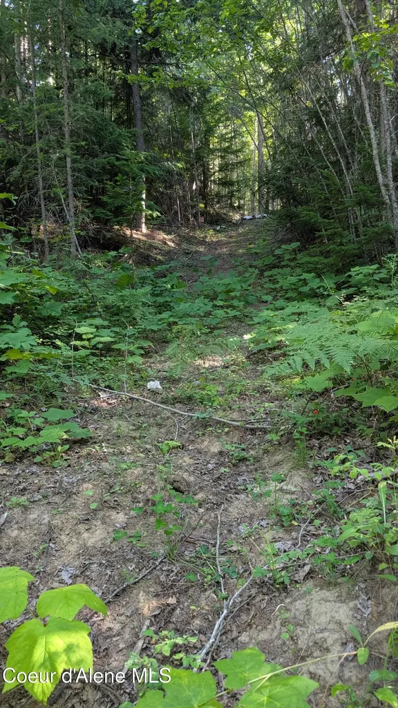 Tract 2 Deep Creak Loop Road Bonners Ferry ID 83805