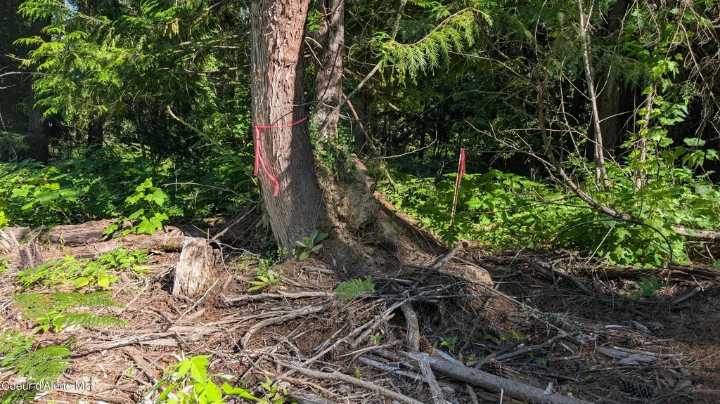Tract 2 Deep Creak Loop Road Bonners Ferry ID 83805