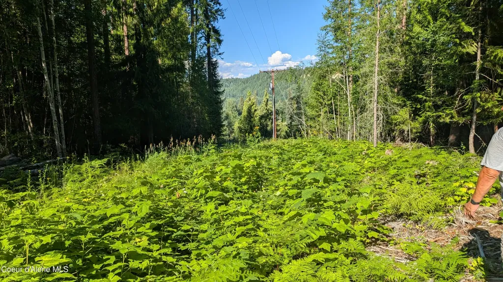 Tract 2 Deep Creak Loop Road Bonners Ferry ID 83805