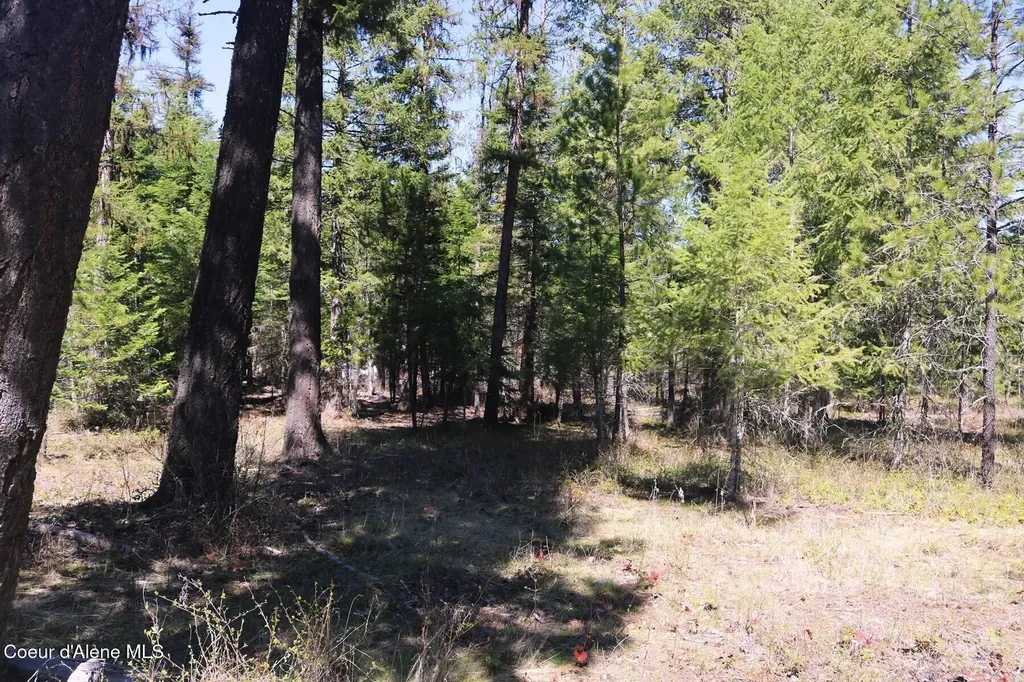 Nna Christensen Avenue Priest River ID 83856