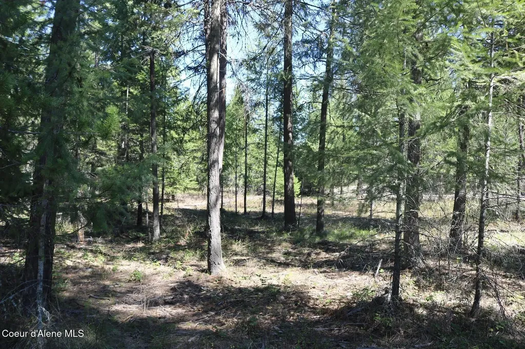 Nna Christensen Avenue Priest River ID 83856