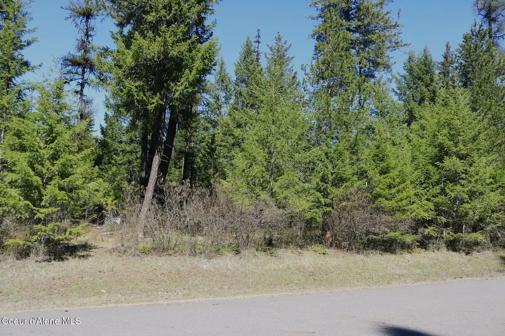 Nna Christensen Avenue Priest River ID 83856